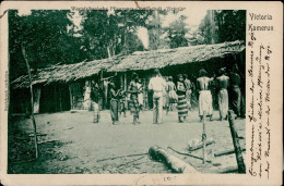 Kolonien Kamerun Victoria Pflanzungsgesellschaft  I-II Colonies - Geschichte