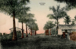 Kolonien Kamerun Victoria Straße I-II Colonies - Storia