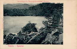 Kolonien Kamerun Viktoria I-II Colonies - Storia