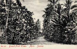 Kolonien Samoa Apia Bread Fruit Trees I-II Colonies - Geschichte