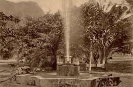 Kolonien Samoa Botanical Garden I-II Colonies - Geschichte