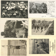 Pfadfinder Kleines Lot Von 7 Ansichtskarten Und 9 Fotos I-II Scoutisme - Scoutismo