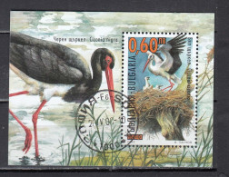 Bulgaria 2000 - Birds: Storks, Mi-Nr. Bl. 242, Used - Gebraucht