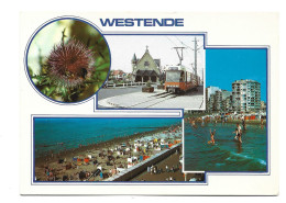 Westende Tram Multi View Foto Prentkaart Photo Carte Htje - Westende