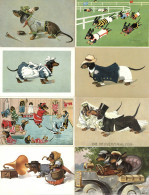 Dackel Lot Mit 30 Künstlerkarten I-II - Honden