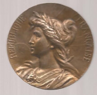 Médaille, Comice Agricole De L'arrondissement De CHINON, Indre Et Loire, Graveur: S. KINSBURGER, 50 Gr., Frais Fr 3.35 E - Professionali / Di Società