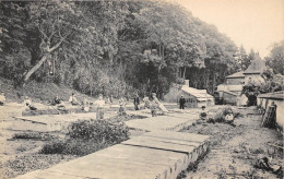 77-CHAMPAGNE-SUR-SEINE- ECOLE LAFAYETTE- LE POTAGER - Champagne Sur Seine