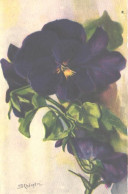 Carlo Chiostri:Flower, Pre 1930 - Chiostri, Carlo