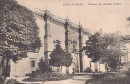 VALLADOLID / MUSEO DE BELLAS ARTES - Valladolid