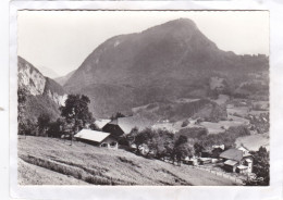 CPM. 15 X 10,5 -  MIEUSSY  -  Colonies De Lille Et Bagneux - Mieussy