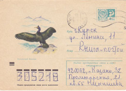 ANIMALS, BIRDS, CRESTED CORMORANT, COVER STATIONERY, ENTIER POSTAL, 1971, RUSSIA - Marine Web-footed Birds