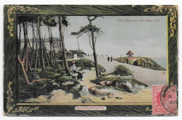 CPA - BOURNEMOUTH - THE PINES ON THE WEST CLIFF - 1909 - Bournemouth (depuis 1972)