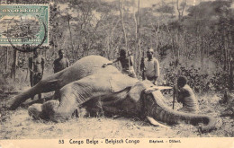 Congo Belge - Eléphant - Couché Au Sol - Indigènes - Carte Postale Ancienne - Congo Belge