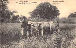 Congo Belge - Nitobola - Faucheuse Mécanique - Animé - Attelage De Bœufs - Carte Postale Ancienne - Congo Belga