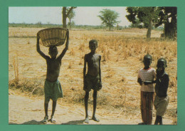 Jumelage Angoulême Ségou ( Mali ) Carte De Soutien Aux écoles De Ségou Comité Des Jumelages Angoulême - Mali