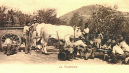 Italy Toscane Firenze La Vendemmia Harvest Wine Vines Stunning Postcard Ca1900 - Colecciones Y Lotes