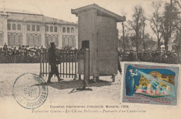 CPA-13-MARSEILLE-Exposition Internationale D'électricité 1908-Exposition Canine-Les Chiens Policiers-Poursuite... - Electrical Trade Shows And Other