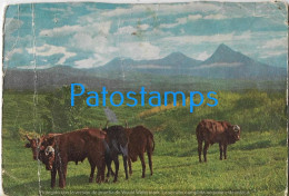 212579 AFRICA RUANDA - URUNDI VIEW COW PUBLICITY PENTOTHAL SODICO ABBOTT BREAK CIRCULATED TO ARGENTINA POSTAL POSTCARD - Ruanda-Urundi