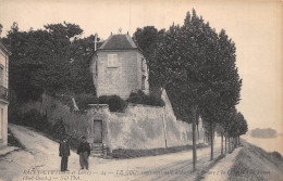 23-P-FO-4249 : SAINT-CYR-SUR-LOIRE. LE COQ - Saint-Cyr-sur-Loire