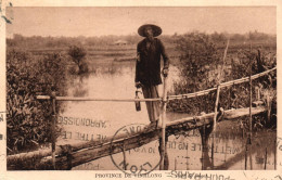 Province De Vinhlong - Pont De Singe - Viêt Nam Indochine - Vietnam