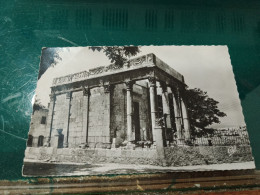 459 //  TEBESSA LE TEMPLE DE MINERVE - Tébessa