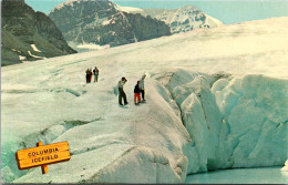 Canada Alberta Canadian Rockies Columbia Icefield - Altri & Non Classificati