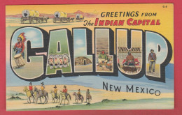 Greetings From The Indian Capital / Callup- New Mexico (voir Verso ) - Amerika