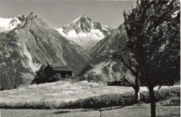 SUISSE - Unterbaäch - Sommerlandschaft Bei Unterbaäch - Wallis Bietschhorn - Carte Postale Ancienne - Other & Unclassified