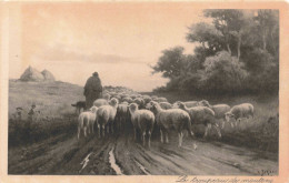 ANIMAUX - Moutons - Le Troupeau De Moutons -  Carte Postale Ancienne - Altri & Non Classificati