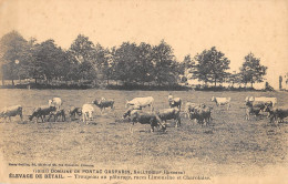 CPA 33 DOMAINE DE PONTAC GASPARIN / SALLEBOEUF / ELEVAGE DE BETAIL / TROUPEAU AU PATURAGE / RACES LIMOUSINES / CHAROLAIS - Sonstige & Ohne Zuordnung