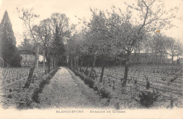 CPA 33 BLANQUEFORT / DOMAINE DE CURGAN - Blanquefort