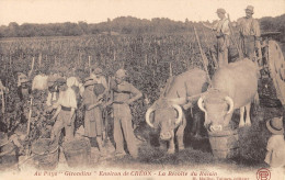 CPA 33 AU PAYS GIRONDIN / ENVIRON DE CREON / LA RECOLTE DU RAISIN - Sonstige & Ohne Zuordnung