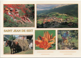 Saint Jean De Sixt , - Saint-Jean-de-Sixt