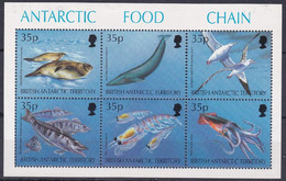 Antarctique Britannique 0255/60 Chaine Alimentaire, Poulpe Calamar, Krill, Baleine, Phoque, Poisson, Oiseau - Fauna Antártica