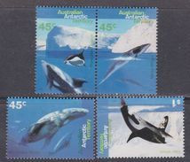 Antarctique Australien N° 102 / 05 XX  Faune Marine : Baleines Et Dauphins, Les 4 Valeurs Sans Charnière, TB - Otros & Sin Clasificación