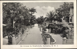 CPA Bridgetown Barbados, Strathclyde, An Avenue - Barbados