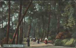 Invalids' Walk, Bournemouth, Hampshire, C.1905-10 - Regal Postcard - Bournemouth (until 1972)