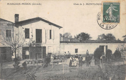 CPA 33 MARGAUX MEDOC / CHAIS DE J.MONTLOUIS - Margaux