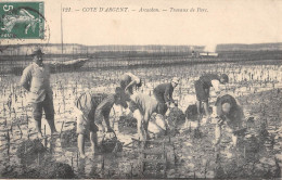 CPA 33 ARCACHON / TRAVAUX DE PARC - Arcachon