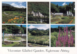 1 AK Irland * Victorian Walled Garden, Kylemore Abbey - Irische Benediktinerinnenabtei - Seit 1920 Im Schloss Kylemore * - Galway