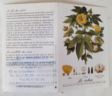 PETIT CALENDRIER PHARMACIE HOMEOPATHIQUE LAHYAN 1998 LE COTON - Grand Format : 1991-00