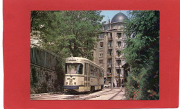 TRAIN----CERCLE OUEST PARISIEN D'ETUDES FERROVIAIRES--Série Tramways Et Métros Français 1976--voir 2 Scans - Strassenbahnen