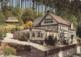 AK 157873 GERMANY - Laasphe - Waldhotel Haferkiste - Bad Laasphe