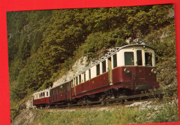 ZWP-10  Entre Les Marécottes Et LeTrétien 29.09.79 Avec Loco Dite Tracteur.Ferroviews Monthey 80/1137 GF NC - Monthey