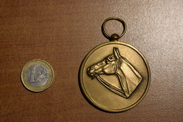 Médaille Tête De Cheval - Ministère De L'agriculture - Autres & Non Classés