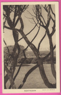D81 - MONTREDON - Vue Générale, En Premier Plan Troncs D'arbres  - Montredon Labessonie