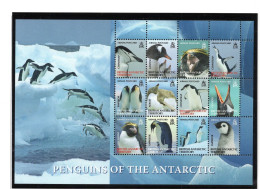 British Antarctic  Territory Sheet 12v 2008 Penguins Of The Antarctic MNH - Pingouins & Manchots