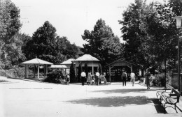 Serbie Wrnjaka Bania Près De Kroljevo Carte Animée Entrée De Parc ? Photo Glacée CPSM - Serbie