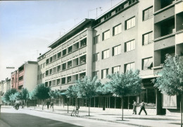 Serbie Kraljevo Avenue  Hôtel Touriste  1964 Photo Glacée CPSM - Serbie