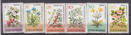 R8117 - ROMANIA ROUMANIE Yv N°4057/62 * Plantes - Nuevos